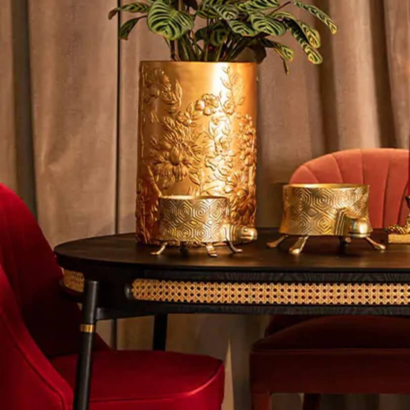 Bold Monkey : Extravagantes Design