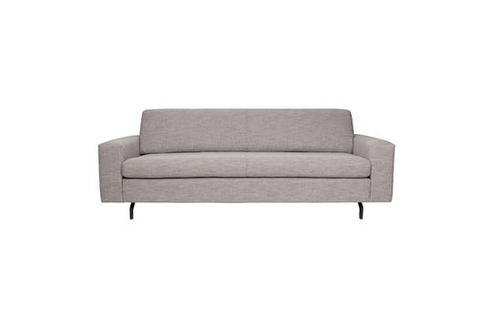 2,5-Sitzer Sofa Jean grau