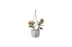 Miniaturansicht Blumentopf aus grauem Sandstein Ileana 3