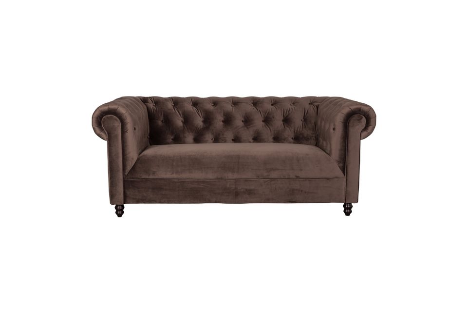 Chester-Sofa aus schokoladenfarbigem Samt Dutch Bone