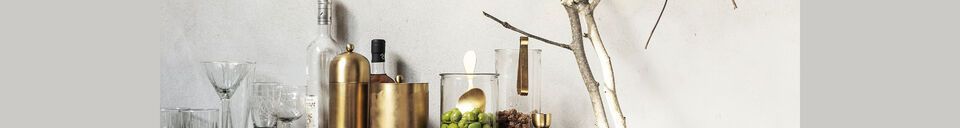 Materialbeschreibung Eiseimer aus Edelstahl gold Alir