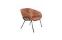 Miniaturansicht Festoon Lounge-Stuhl braun ohne jede Grenze