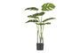 Miniaturansicht Grüne Kunstpflanze Monstrera ohne jede Grenze