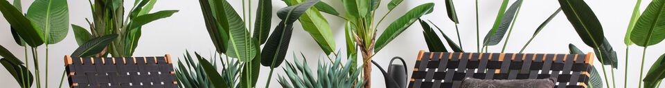 Materialbeschreibung Grüne Kunstpflanze Strelitzia