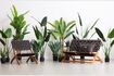 Miniaturansicht Grüne Kunstpflanze Strelitzia 2