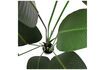 Miniaturansicht Grüne Kunstpflanze Strelitzia 5