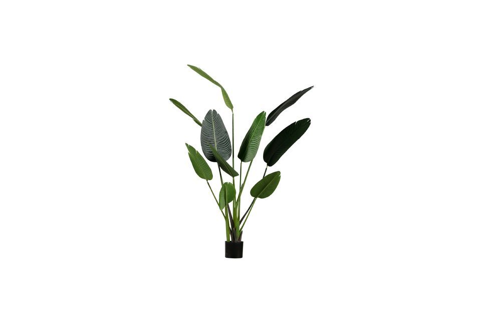 Grüne Kunstpflanze Strelitzia Woood