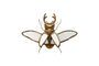 Miniaturansicht Insektenfigur aus Kunstharz gold Spiegel ohne jede Grenze