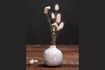 Miniaturansicht Kleine weiße Keramikvase Houlle 1