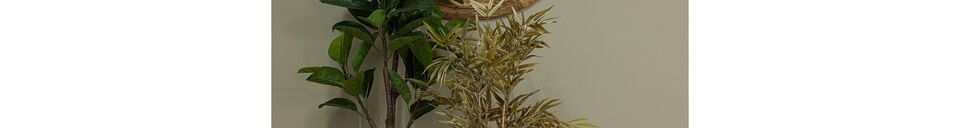 Materialbeschreibung Künstliche Bamboo-Pflanze