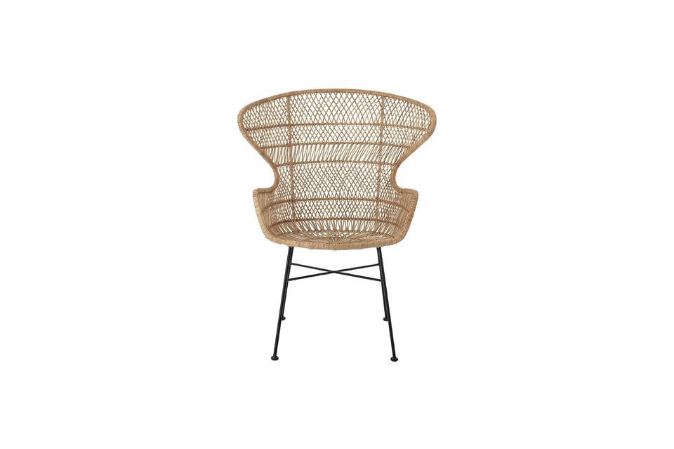 Rattan, Eisen