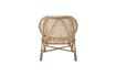 Miniaturansicht Rattansessel Rosen 8