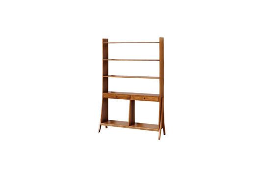 Regal aus dunklem Holz Soto