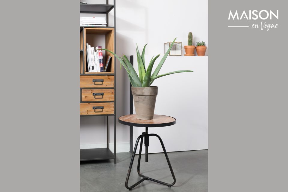 Diese beiden Materialien verbinden sich perfekt auf diesem sehr eleganten Möbelstück