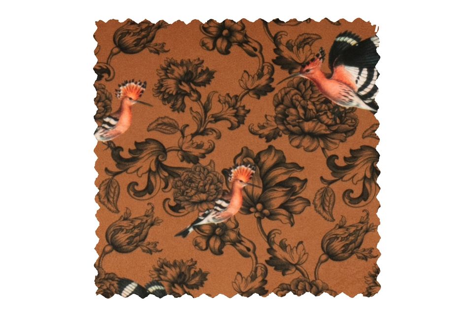 Bedrucktes Samtsofa Fenix Sara, Finesse und Sympathie