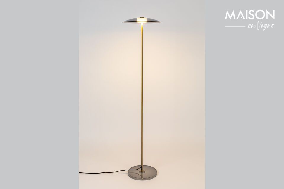Mit ihren harmonischen Abmessungen (30 cm x 30 cm x 132 cm) und ihrem minimalistischen Design wird